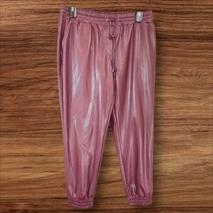 Cleo Burgundy Pleather Pants Size L